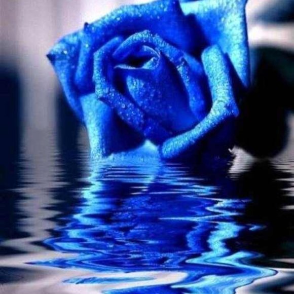 tsoutdoorkneepads ProtectionElbow Wrist Ankle - Picture 4 of 4